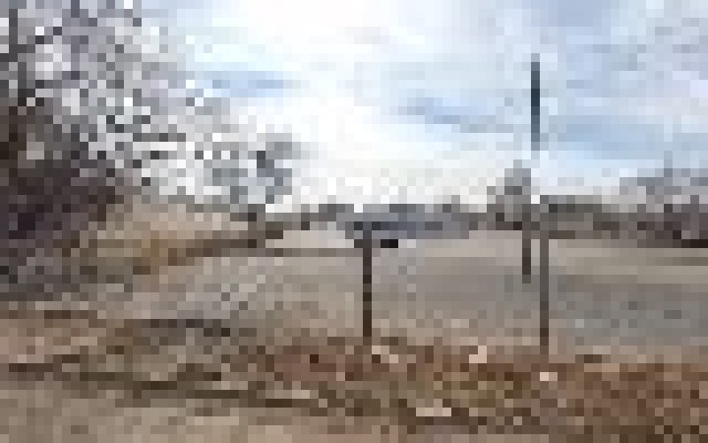 Jack C Thomas & Son Inc — General contractor in Amarillo
