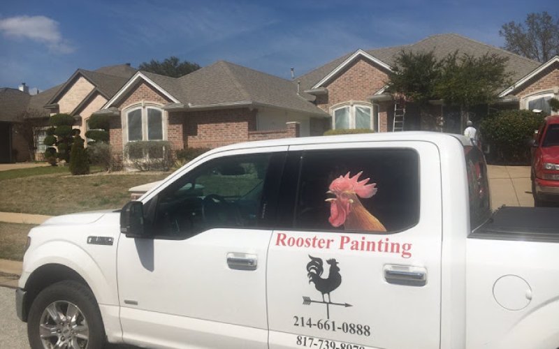 Rooster Painting