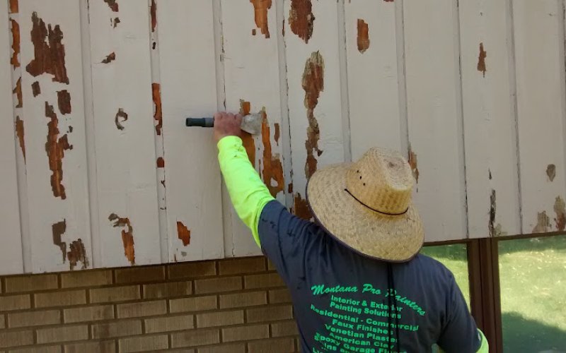 MONTANA PRO PAINTERS — Painter in Billings