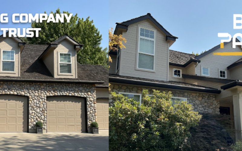 Boise Painter