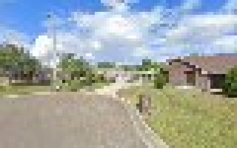 All Seasons Painting of Brownsville