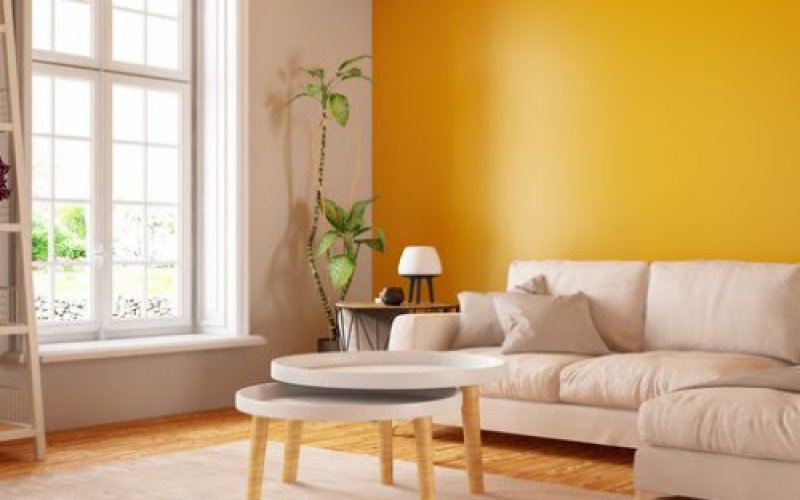 Painter Bros of North Dallas