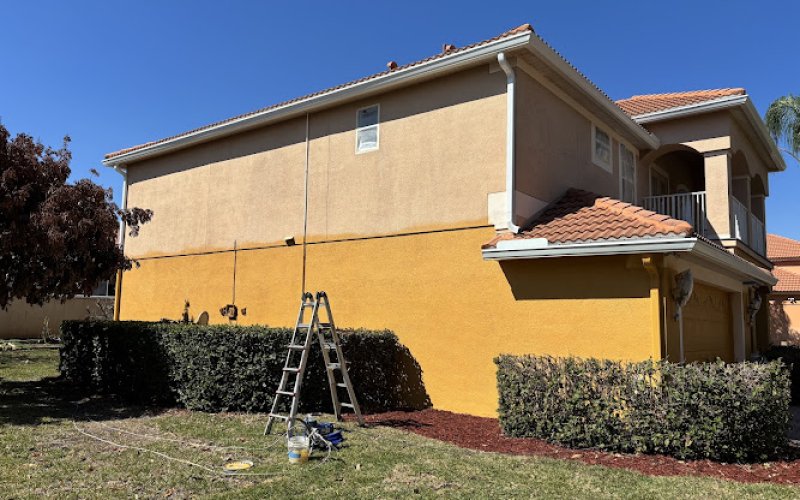 Painter1 of Central Florida