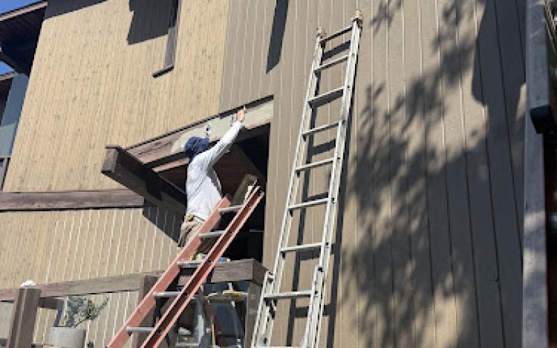 Cosmos painting — Painter in Jurupa Valley