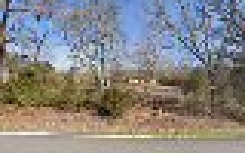 Paint Tech — Painter in Little Rock