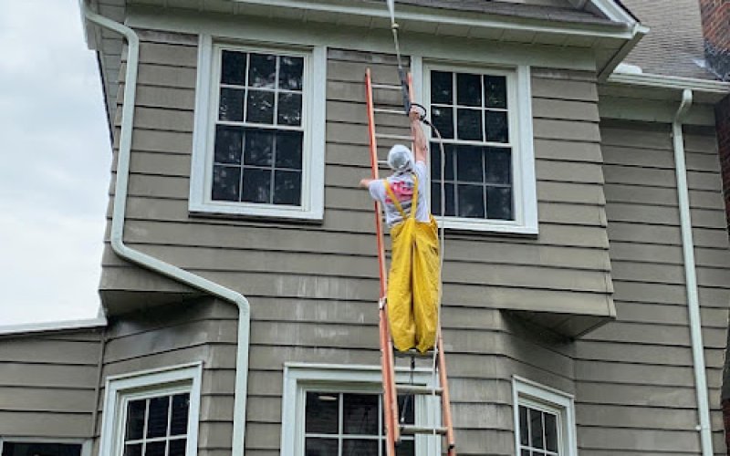 K Costa Painting — Painter in Newark