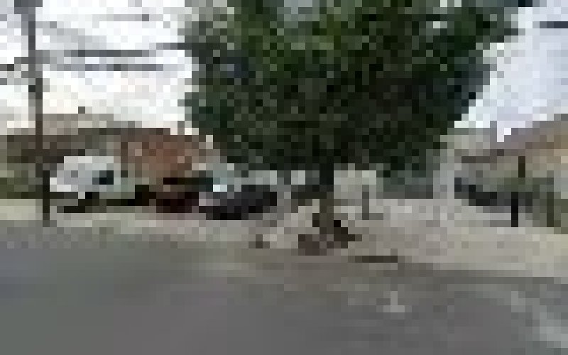 Painter/Wall Decor. — Painter in Newark