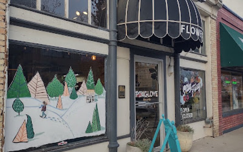 Provo Window Painting