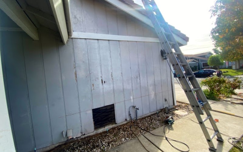 Sprayco Painting