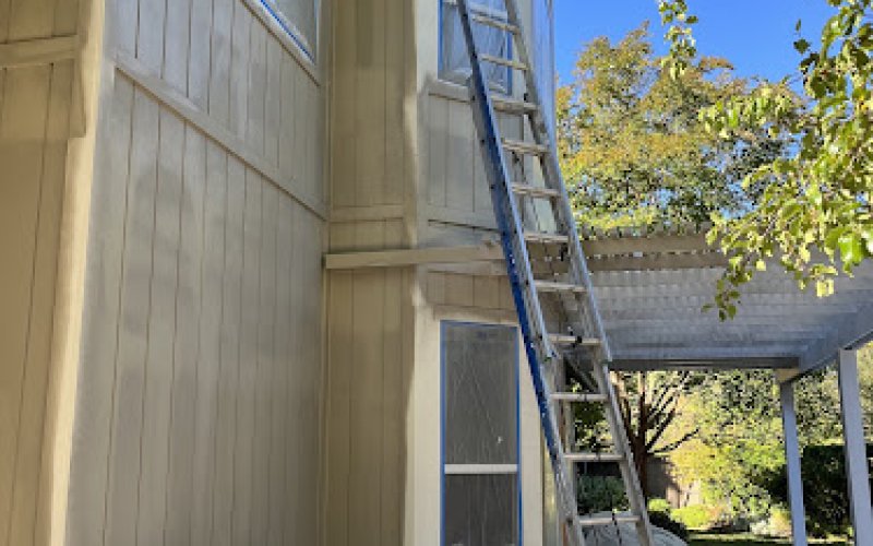Solidarity Painting, Inc.