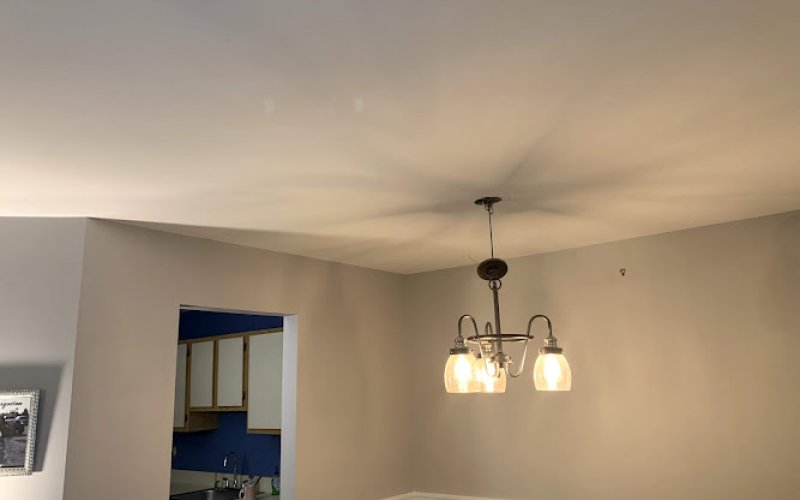 ProEdge Painting