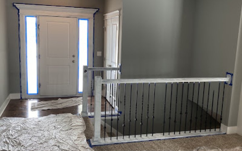 Phillips Pro Painting