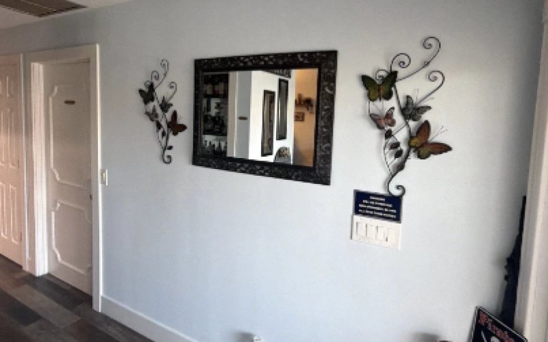 Palm Beach Painters