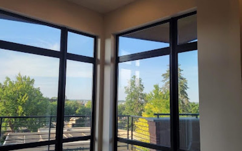 Mountain Vista Painters